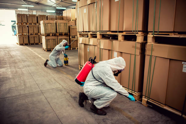 Best Local Pest Control Services  in Maricopa, AZ