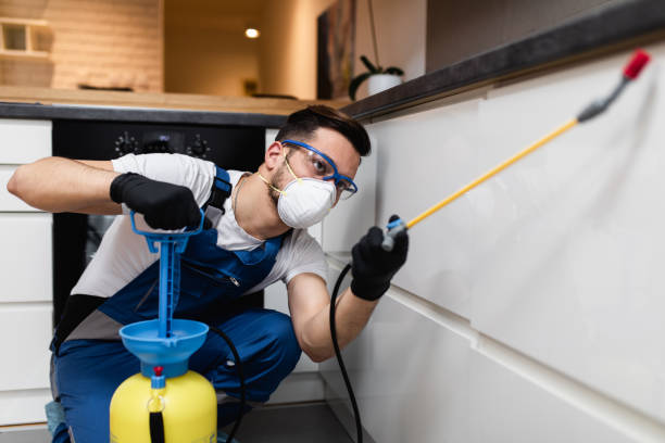Best Rat Extermination Near Me  in Maricopa, AZ