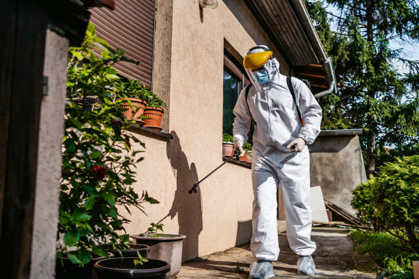 Best Flea Control Services  in Maricopa, AZ