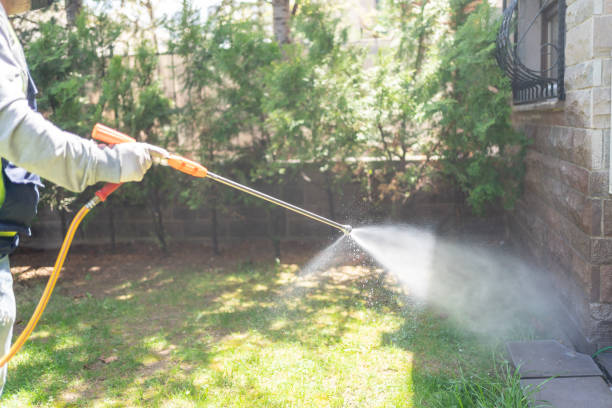 Best Best Pest Control Companies  in Maricopa, AZ
