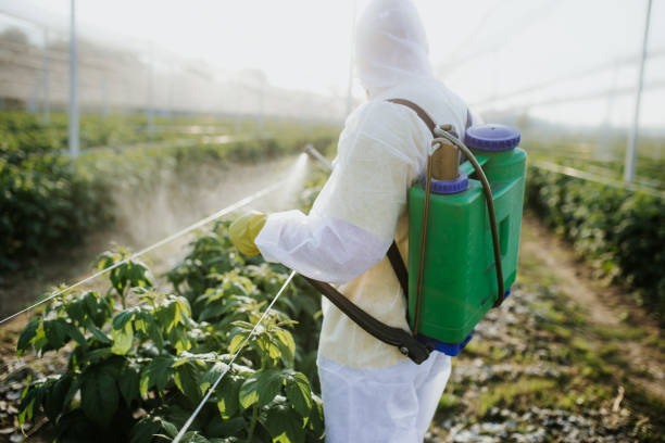 Best Wildlife Control Services  in Maricopa, AZ